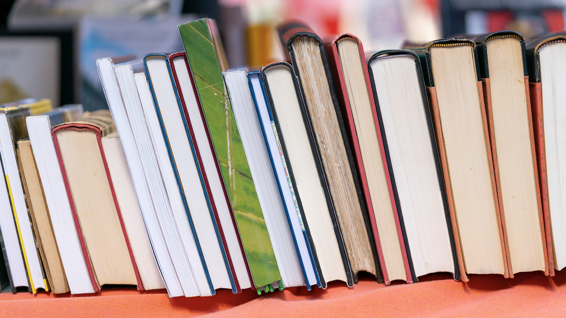 L’avez-vous lu, nouvelle formule