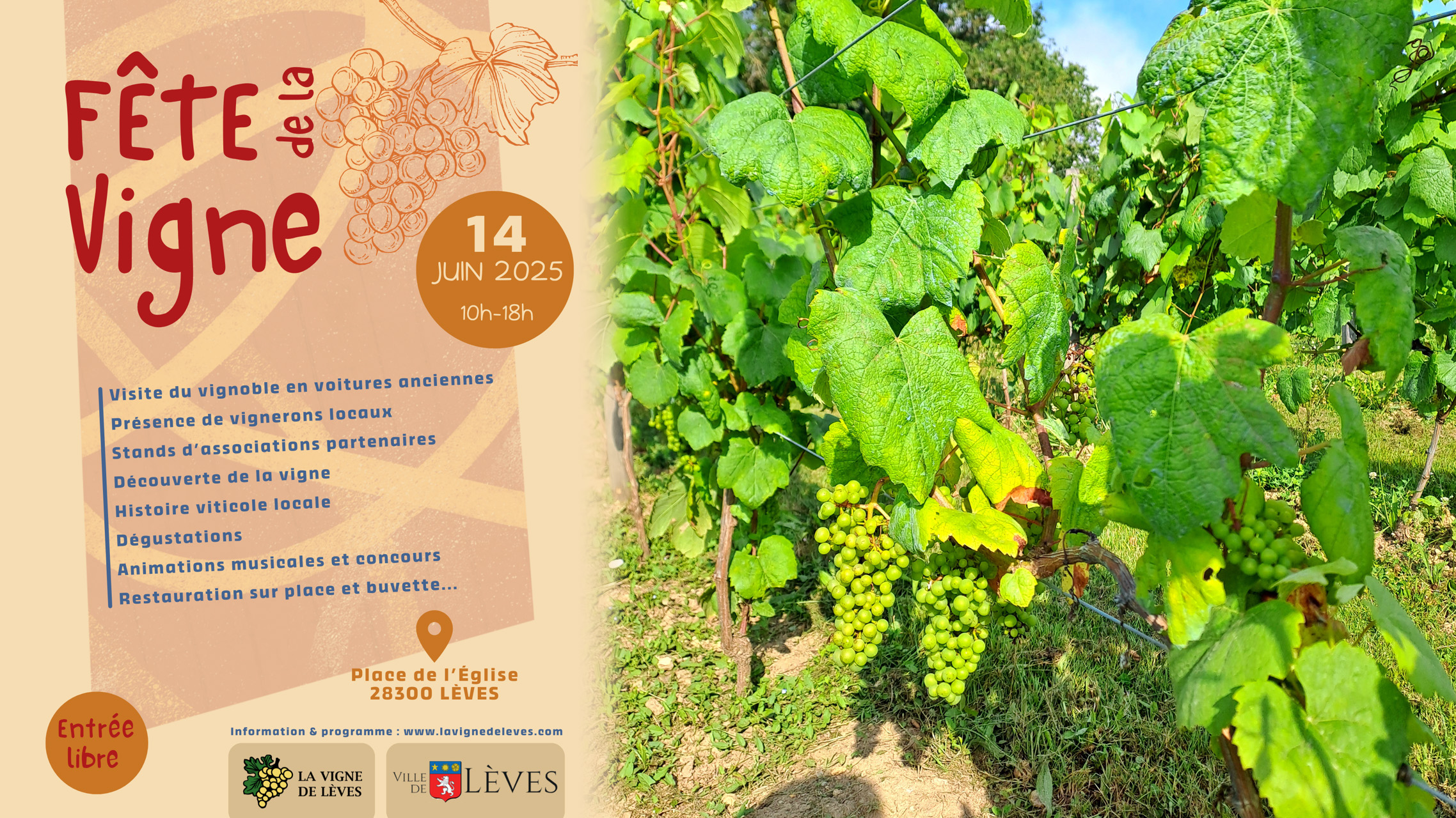 Fête de la Vigne