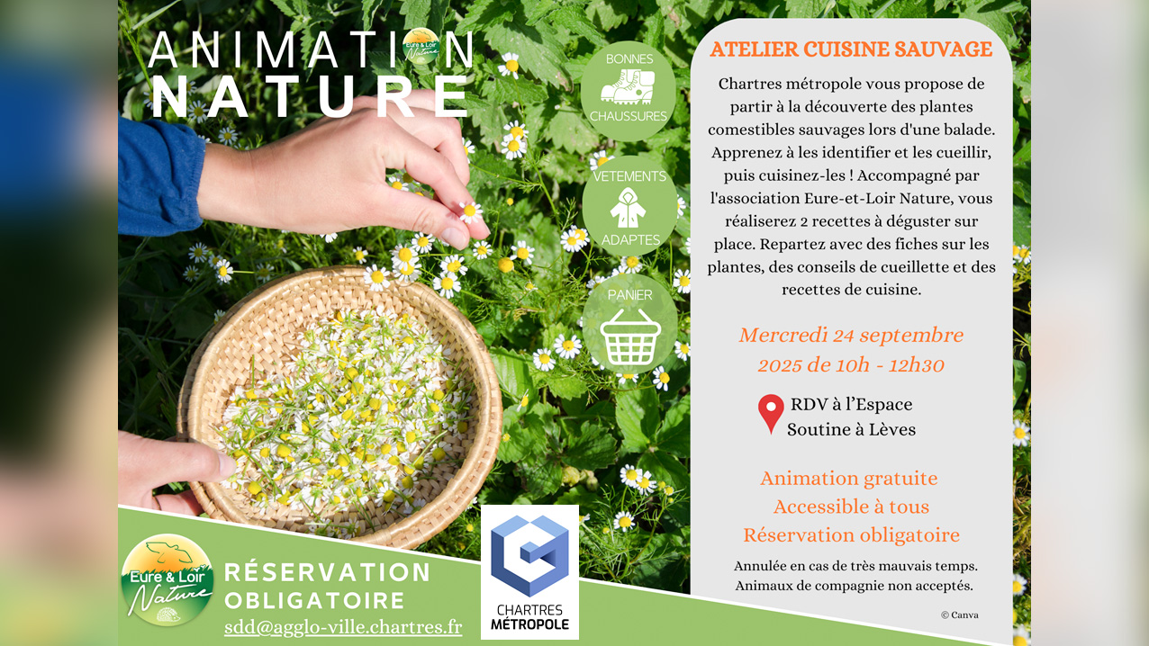 Atelier Cuisine sauvage par Eure-et-Loir Nature - Lèves