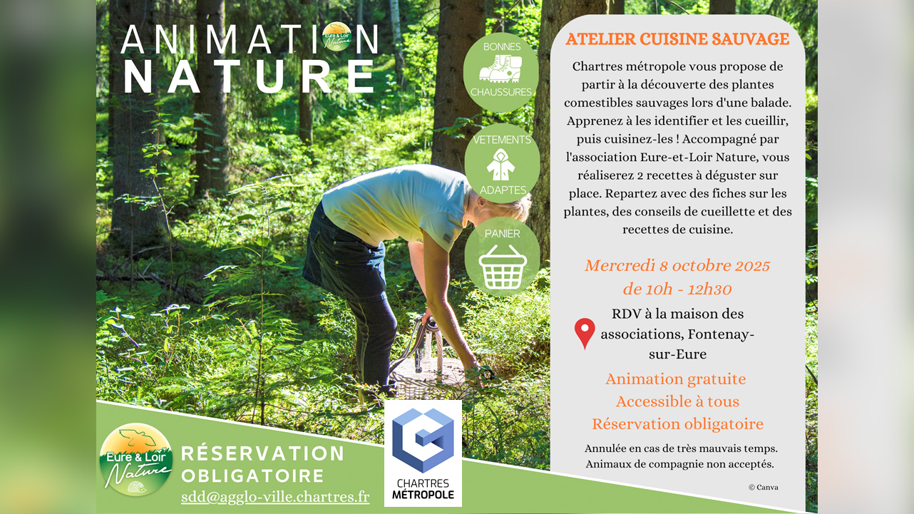 Atelier Cuisine sauvage par Eure-et-Loir Nature - Fontenay-sur-Eure