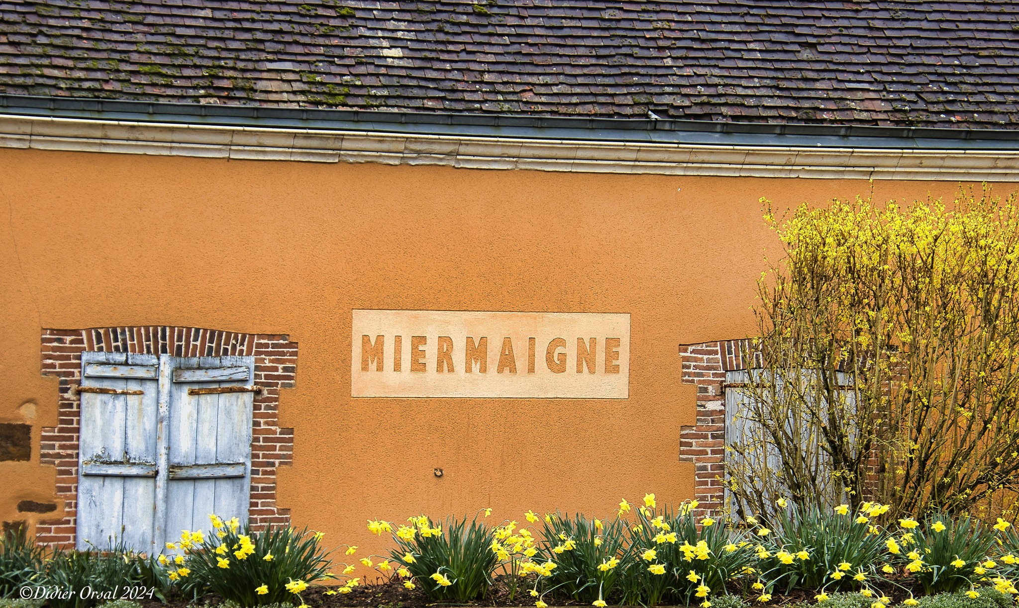la CdC du Perche : Balade naturaliste crépusculaire
