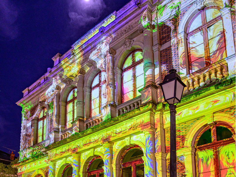 Visite guidée : Chartres en lumières - Fernanda Vieira guide