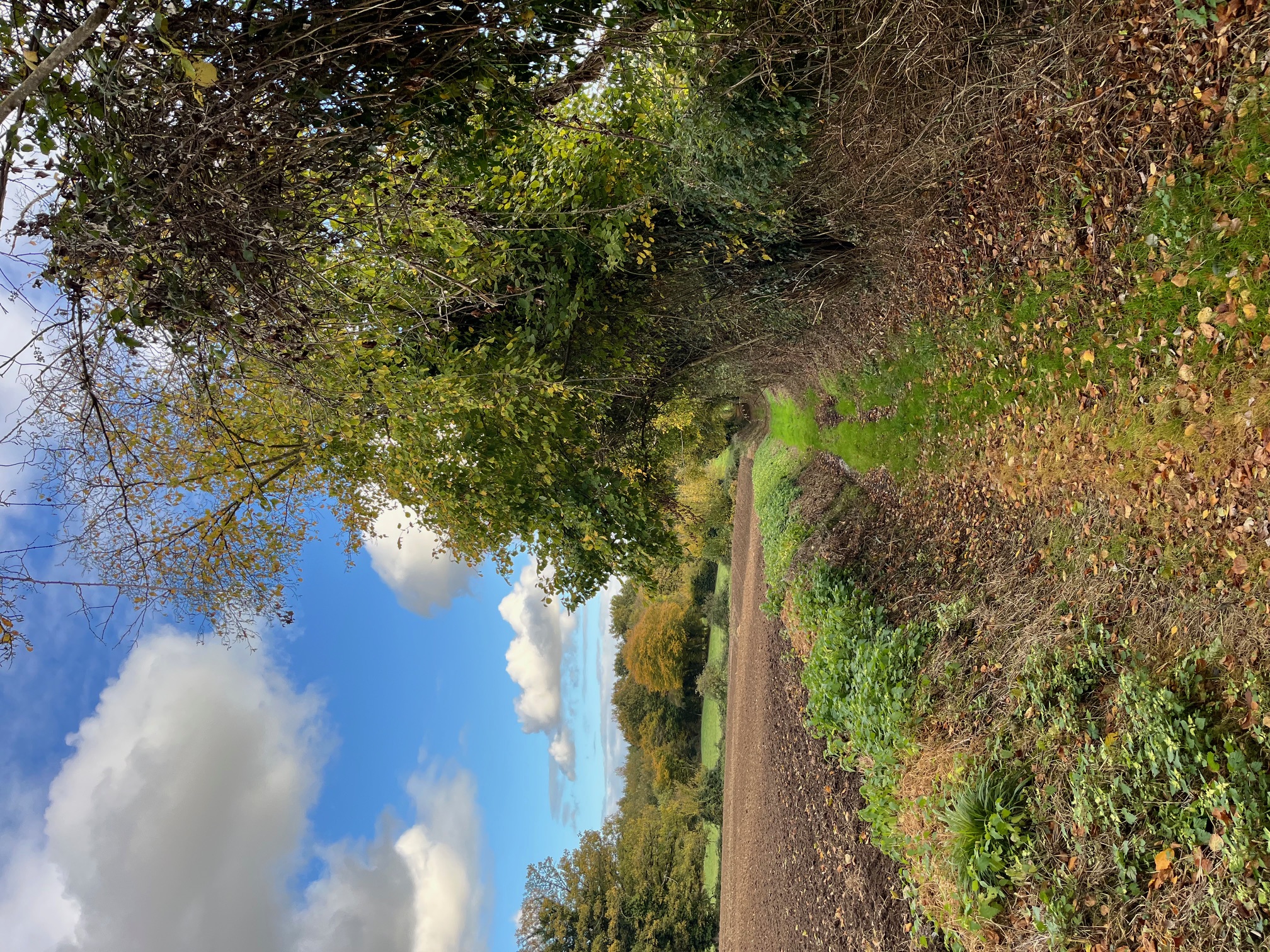 Rando mensuelle des Sentiers du Perche