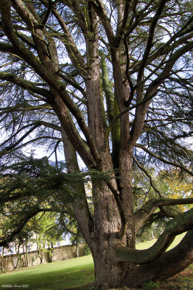 la CdC du Perche : La Nature en ville