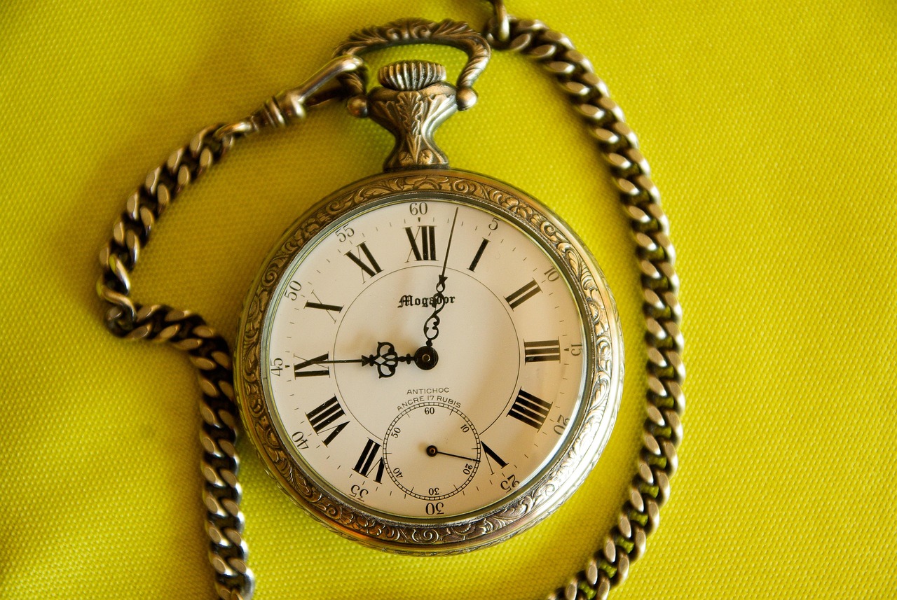 la CdC du Perche : Brocante - Luigny