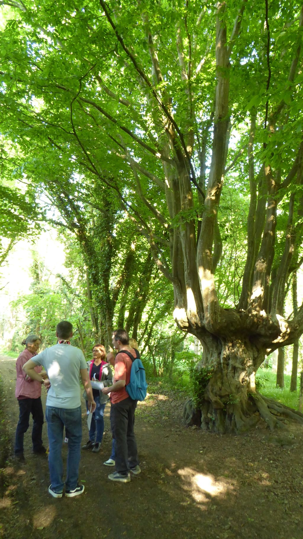 la CdC du Perche : Balade autour de la trogne